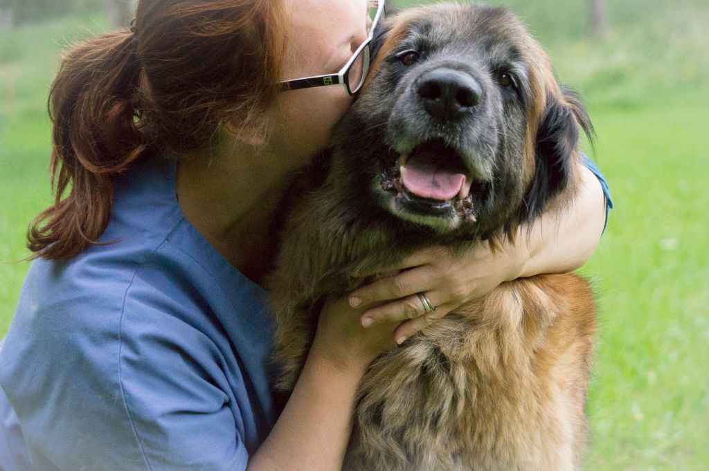 Enoka Des rives de la sevenne